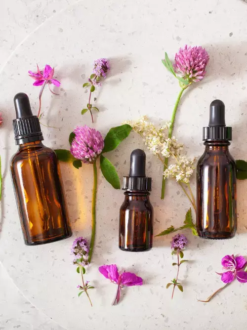 Como Funcionam os Florais de Bach 