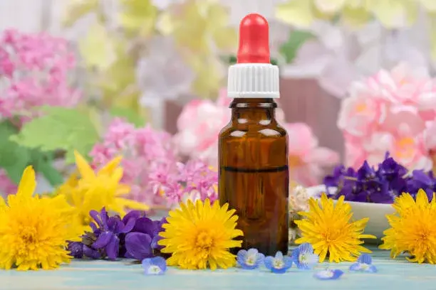 Floral de Bach para Que Serve 