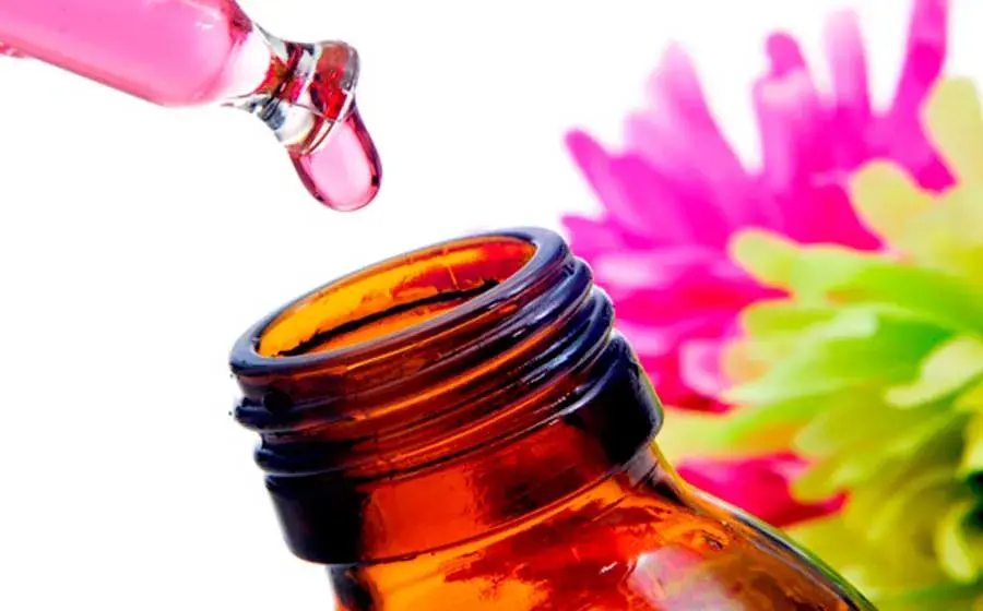 Terapia com Florais de Bach em Guarulhos 